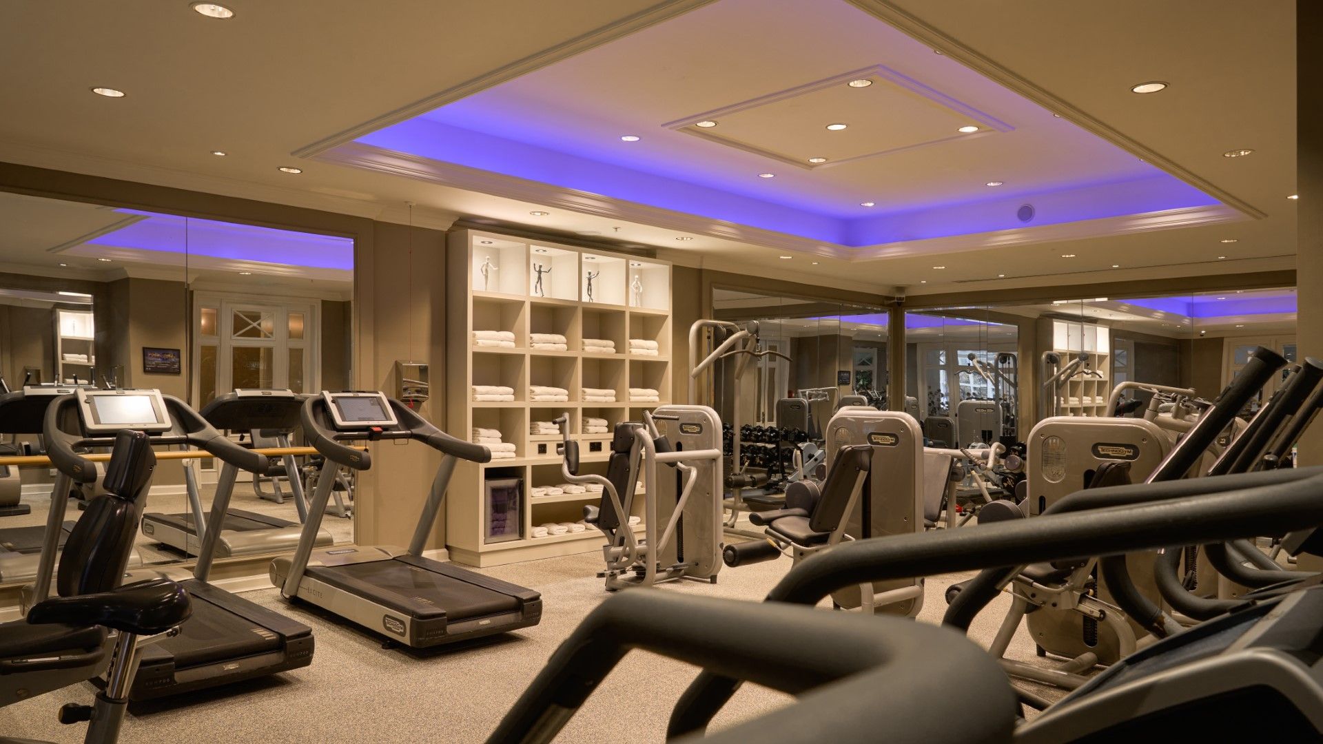 Gym (Custom)