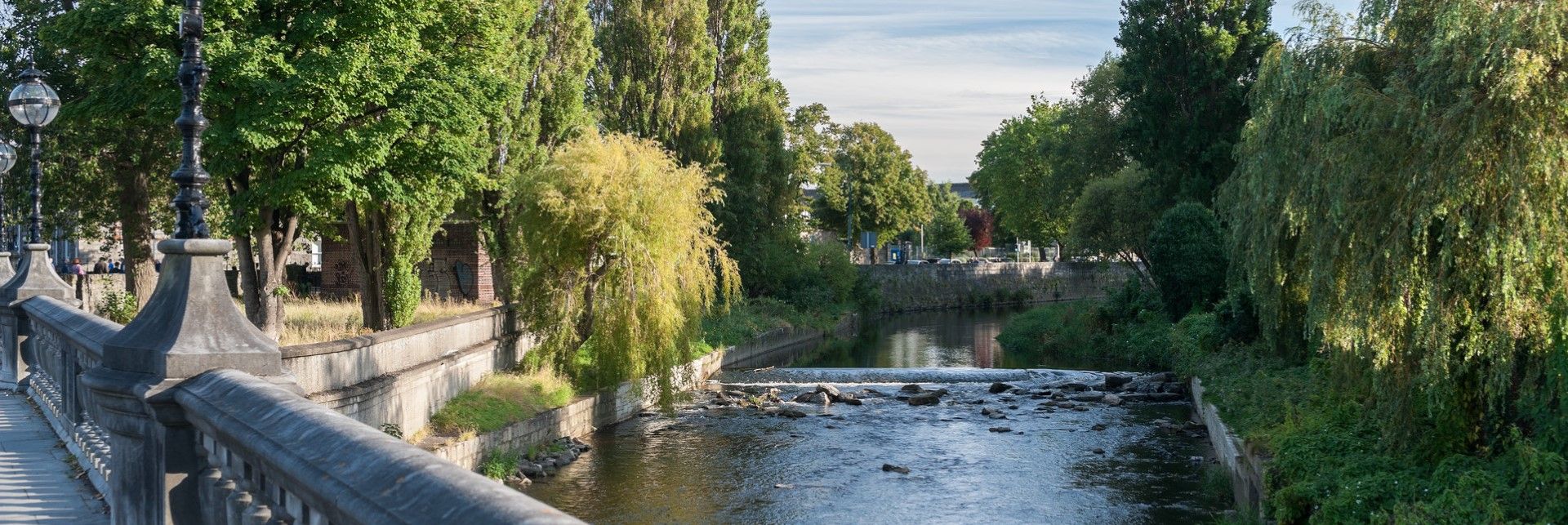 Ballsbridge (Custom)