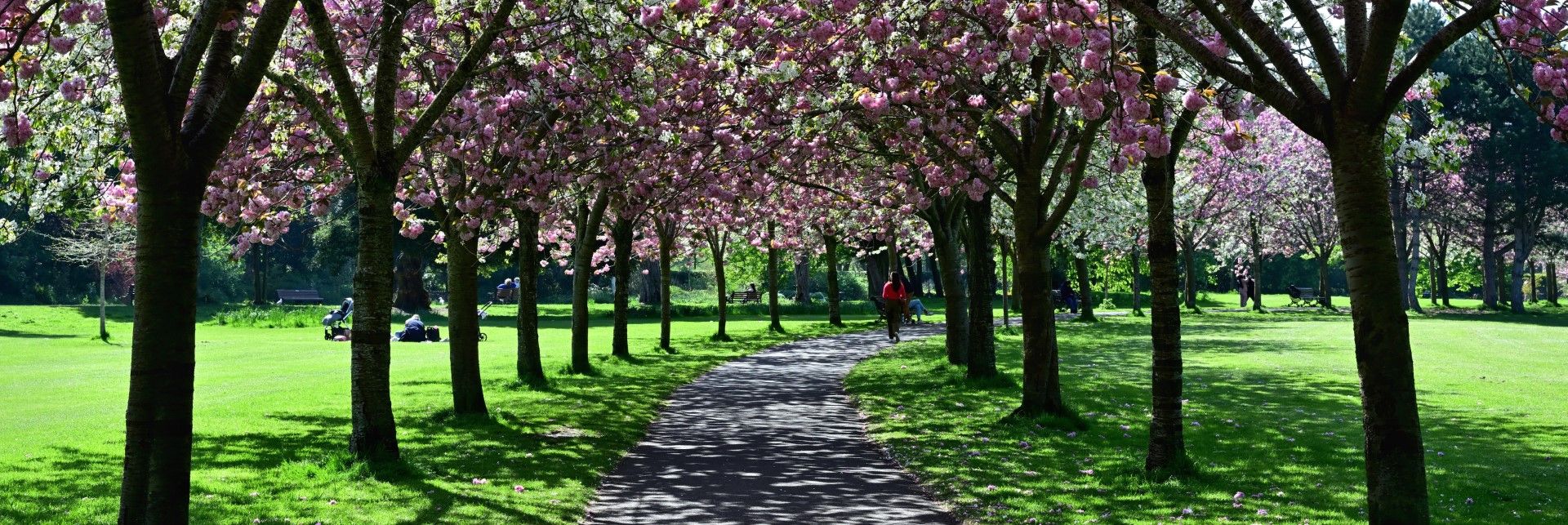 Herbert Park, Ballsbridge, Co Dublin_master (1) (1) (Custom)