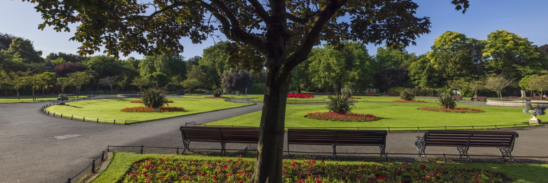 Stephens green park dublin city 