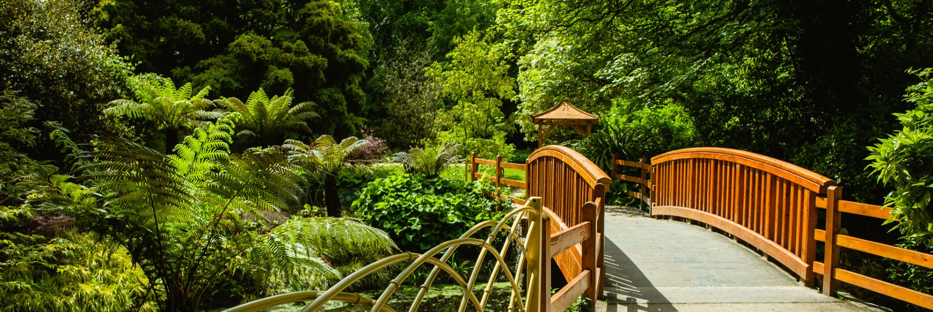 Malahide castle gardens 