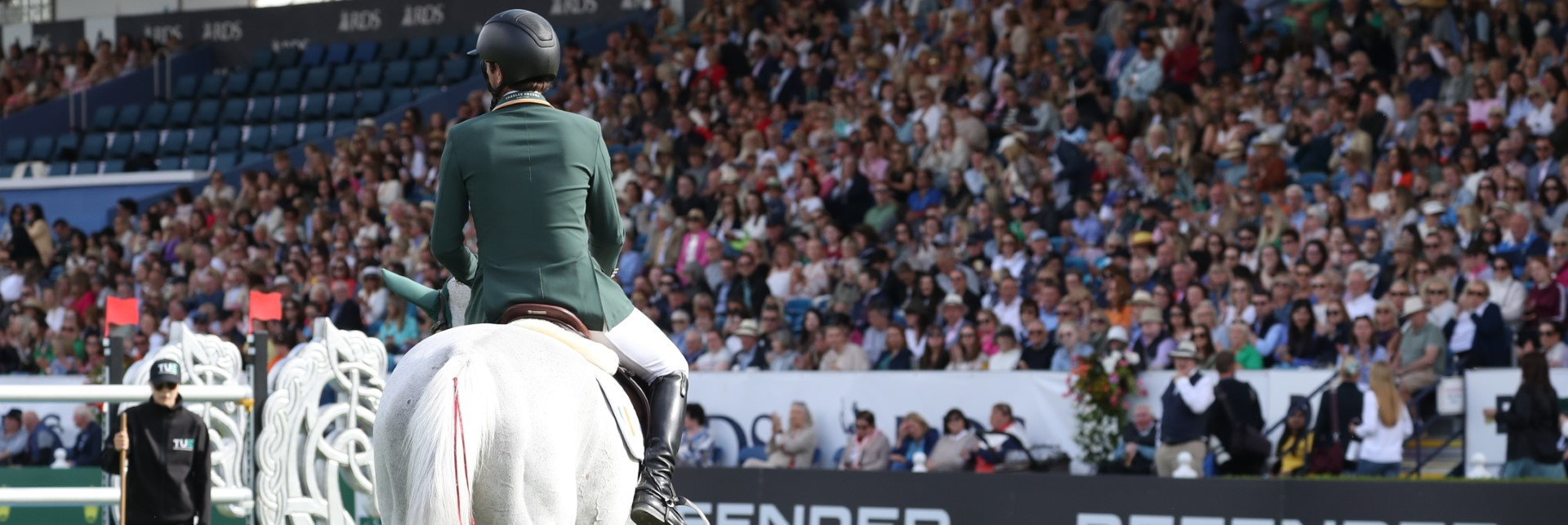 RDS dublin horse show dublin