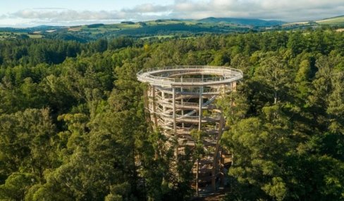 Trees jpg www.intercontinentaldublin.ie